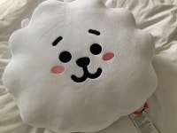 심심하면 내 쿠션 보고 갈래? - 진(BTS) 카테고리