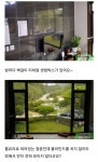 와...정의연ㅁㅊ 할머니들 나눔의집 펜션처럼 지들이 이용했나봐 - 코로나19 카테고리