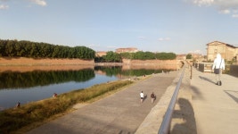 전체 게시판 - 오늘이 완전격리해제일이야