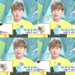 2018 마지막 동농, 레몬토니ㅋㅋ - H.O.T. 카테고리