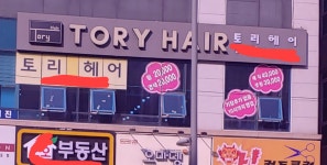 나 어제 우연히 봤잖아 - 드영배 카테고리
