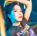 김용안 - 솔라 카테고리