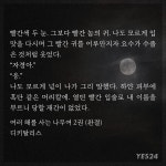 더쿠 - 요오망한 양기석이
