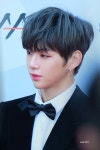 내 최애헤어 사진!! AAA - 강다니엘 카테고리