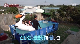 동물농장 보는데 존나 신기한 조합임....... - 케이돌토크 카테고리