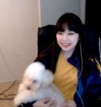 나나 미용했다ㅋㅋㅋㅋㅋ - 인터넷방송(BJ/스트리머 등) 카테고리