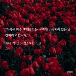 🌹화대 나눔합니다🌹 - BL 카테고리 🌹화대 나눔합니다🌹 - BL 카테고리
