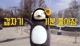 갑자기 기분 좋아짐 - 펭수 카테고리