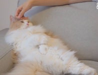 더쿠 - 둔둔이 자세 진짜ㅋㅋㅋㅋ