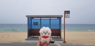 전체 게시판 - 알제이농장💜 왕귀염둥이 우리집 제희 봐조 전체 게시판 - 알제이농장&#x1f49c; 왕귀염둥이 우리집 제희 봐조