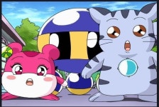 유니미니펫 개존잼인데 안본사람 없지? - 케이돌토크 카테고리