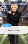 태형이 호랑이vs곰돌이vs고양이vs강아지vs아꼬vs아기호랑이 결과 - 방탄소년단(BTS) 카테고리