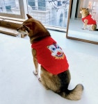 아론이랑 꽃순이 진짜 귀엽따 - 아론 카테고리