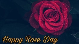 더쿠넷 회원님들 *^^* 로즈데이 친지들에게 보내면 좋은 이미지 공유합니다 ~~♡ - 스퀘어 카테고리