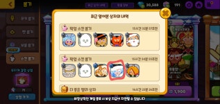 내 스뽑결과보고갈래? - 쿠키런 카테고리