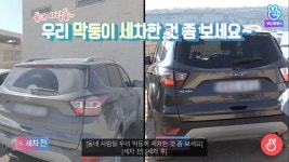 운전플에 살다살다 처음본 렌터카 손세차를 하는 전정국 ㅋㅋㅋㅋㅋㅋㅋ - 방탄소년단 카테고리