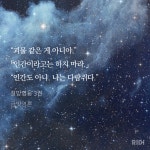 공의 다람쥐라이팅에 넘어가버린 수..... - BL 카테고리