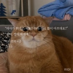 전체 게시판 - 럭키펀치 아 미친 집사 움찔한 부분ㅋㅋㅋㅋㅋㅋㅋㅋㅋ (ㅂㅊㅅㅍ)