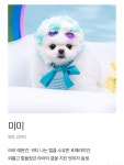 등장인물 소개에 강아지 있는 거 첨 봨ㅋㅋㅋㅋ - 드영배 카테고리