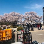 ㅅㅍ 오늘뜬 목격사진 플랜카드에 드라마 패러디ㅋㅋ - 드영배 카테고리