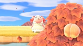 선생님 차둘이 자요! - 동물의숲 카테고리