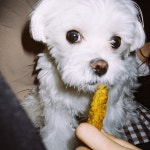 더쿠 - 2021.03.20 둥스타그램💚