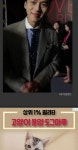 예의바른 고양이글 보는데 아래 광고에도ㅋㅋㅋ - 현빈 카테고리