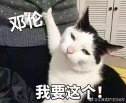 전체 게시판 - 륜덬들 해떴어