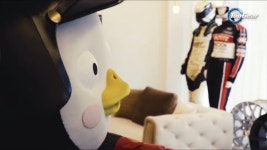 펭레이서 꿈나라로 고↘️ - 펭수 카테고리