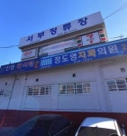 원덬이 생각하기에 대구에서 비둘기 가장 많은 것 같은 장소 - 스퀘어 카테고리