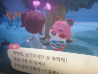 마일섬 왔다 코알라 햄스터 위시 - 동물의숲 카테고리