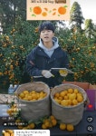 더쿠 - ㅇㅂㅇ 와 귤나무에 귤이 이렇게 많이달리는구나
