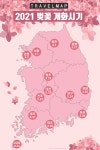 더쿠 - 2021 전국 벛꽃 개화시기 정보