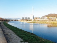강따라 산책하고 온 후기 (feat.꽃사진 - 후기 카테고리