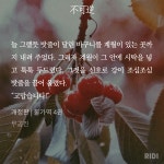 또랑둥 간식받는거 존나커여워 ㅋㅋㅋㅋㅋㅋ - BL 카테고리