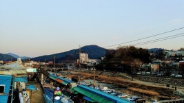전체 게시판 - 전주 다녀왔어 feat.밤도