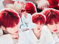 태현시🍓 - 국내유명인 카테고리 태현시&#x1f353; - 국내유명인 카테고리