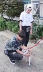 근데 아론이랑 종현이 뭘 매달고있는거지? - 뉴이스트 카테고리