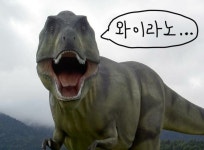 전체 게시판 - 강집사랑 겨론할래