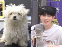 여기서 어느쪽이 재환이야? - 김재환 카테고리