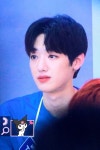 영택 프리뷰 2 - 골든차일드 카테고리