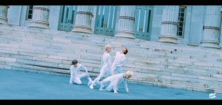 13월의춤 뮤비보는데 비둘기 너무 시강이야.. - 세븐틴(SEVENTEEN) 카테고리