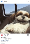 160518 톤스타🌟 - 국내유명인 카테고리 160518 톤스타&#x1f31f; - 국내유명인 카테고리