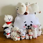 우리집 알제이농장 상탠데 스돌 살말.. - 방탄소년단 카테고리