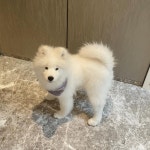허엏 ㅠㅠ 완전 꼬맹이야 오뚜캐 ㅠㅠ 꼬맹이 멈무 ㅠㅠ - 강다니엘 카테고리