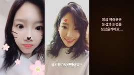 아 개귀엽다 - 태연 카테고리