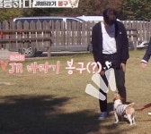 봉구 마음 변한 거 같다고 햇던 복덩이들 다 나와바ㅡㅡ - JR 카테고리 봉구 마음 변한 거 같다고 햇던 복덩이들 다 나와바ㅡ&quot;ㅡ - JR... 