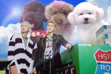 이거 모얔ㅋㅋㅋㅋㅋㅋㅋㅋ ㄱㅇㅇ - EXO(엑소) 카테고리