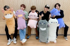 지지엑스얼라이즈 | 얘들아 내가 아는 지지곰은 분명 연보라깜찍이인데 - 몬스타엑스 카테고리