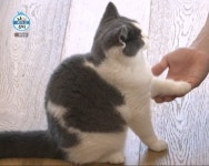더쿠 - 꿍이 보면 볼수록 똑또기야